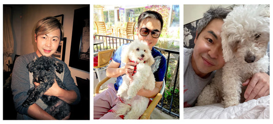 Why We Support No Kill Animal Shelters