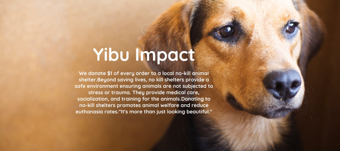 Best Skin Care Products For Beauty | Yibu Beauty – YIBU BEAUTY